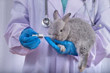 A veterinarian with a blue stethoscope uses a syringe to feed liquid chemicals to a brown rabbit held in his arm.