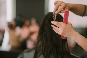 Back view shot of hair stylist cutting her brunette client hair. Close up 