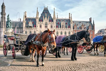 Fotobehang Brugge Horses on Grote Markt Brugge, the main attraction of Bruges, Belgium