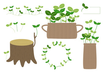 新芽 籠 切り株 イラストセット