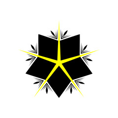 star icon vector on white background