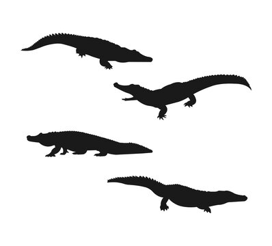 crocodile set.zoo animal thin line design.vector illustration.Vector of crocodile design.Wild Animals.silhouette animals vector concept. crocodile silhouette design graphics.on white background.