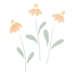 Watercolor wild flower illustration set, tree flowers