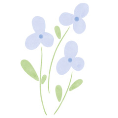 Cute blue watercolor flowers, clip art