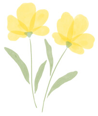 Two yellow watercolor flowers, digital painting