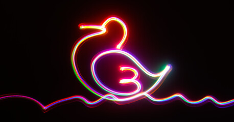 Duck light painting photography 