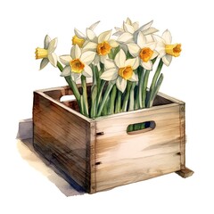 wooden treasure chest succulents, green bouquet, houseplant illustration, botanical painting