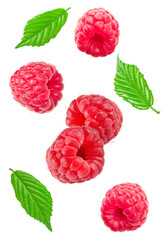 flying ripe raspberry with green leaf isolated on white background. macro. clipping path