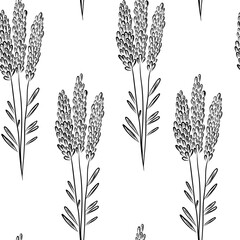 Lavender branch seamless pattern in doodle style