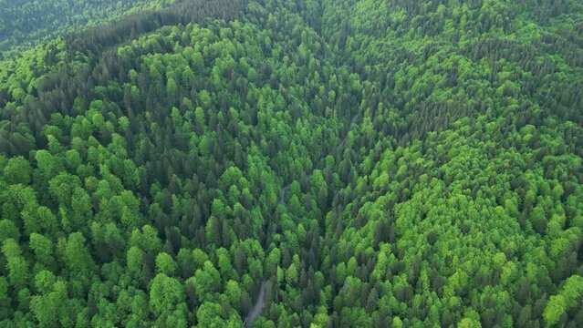 Aerial drone view of La Vila Joiosa.Flying over colorful houses on the Mediterranean coast in the city of La Vila Joiosa in Spain.Costa Blanca.