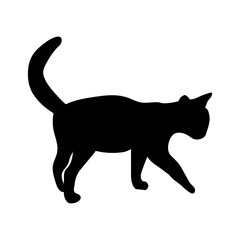  CAT icon design template vector