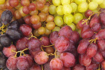 Fresh grapes background