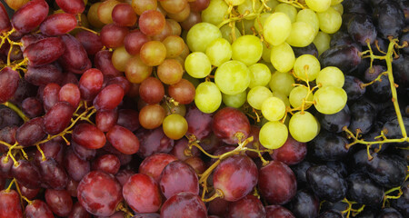Five kinds of fresh grapes as background - obrazy, fototapety, plakaty