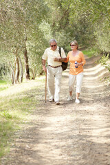 Hiking, nature and senior couple with walking stick, fitness and retirement exercise, wellness support or path in forest. Elderly people in woods for cardio, eco travel and health journey or trekking