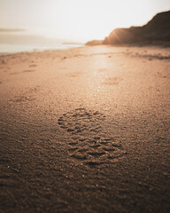 A magical coastal walk at sunset