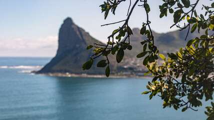 Landscapes in & around Cape Town. 