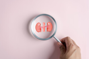 Magnifier glass focus to kidney organ icon, chronic kidney disease, renal failure, dialysis, Health...