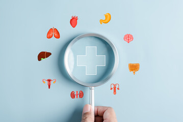 Magnifier to examine internal organ for treatment and health care with plus signs insurance...