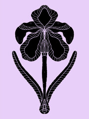 Iris flower. Grunge texture black element. Illustration in linocut style, folk art, Scandinavian style. Element for design.