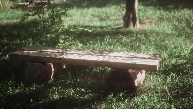 in nature next to the road and among the trees is a bench
