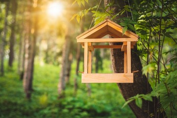 Photo of an open wooden birdhouse in a forest area with the rays of the sun falling on it.