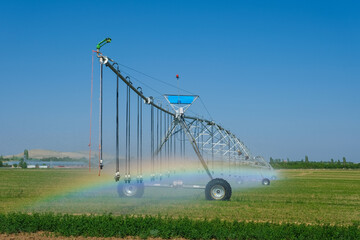 Fototapeta na wymiar Early morning view of the field irrigated by the central pivot sprinkler system. Mist rainbow from fountains