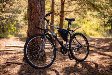 Fototapeta na wymiar Bicycle in the forest