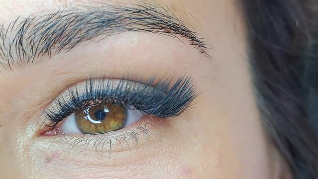 close up of eye with eyelash extensions in beauty salon macro eye
