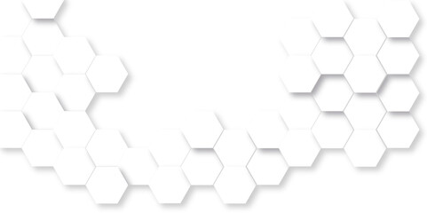 Background with hexagons . Abstract background with lines . white texture background . white and hexagon abstract background. white paper texture and futuristic business .