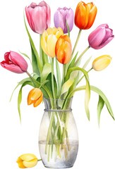 tulips in glass vase jar watercolor isolated