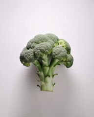 Broccoli on a white background, isolated head of broccoli, vegetables healthy eating concept