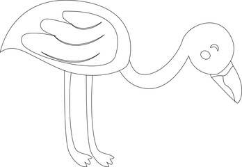 Flamingo bird vector graphic