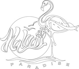 Flamingo bird vector graphic