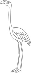 Flamingo bird vector graphic