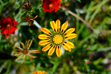 Travel; hills; seas
Vacation; mountains; ocean
Explore; countryside; beaches
Sightseeing; hillsides; coastal areas
Adventure; peaks; shorelines
Getaway; elevated landscapes; marine destinations
Journe