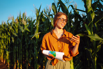 A farmer woman stands in a field and inspects a green corn plantation. Modern digital technologies....