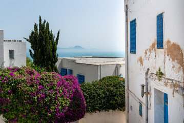 Fototapeta na wymiar Sidi Bou Said in Tunisia. It is a town in northern Tunisia located about 20 km from the capital, Tunis.