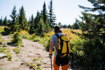 Rear view of a man with a backpack in the forest, a mountain trail for travel, a spruce forest, a guy walking on a hike, hiking equipment, recreation in the mountains.