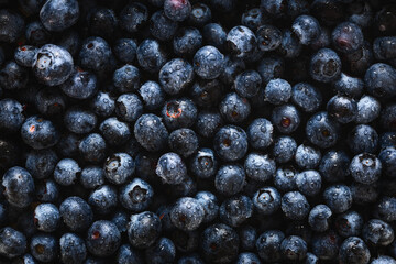 Fresh blueberry fruit background close up top view