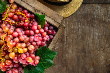 Fresh ripe red grapes in vintage crate on wooden background with copy space, top view. Harvesting, organic farming concept