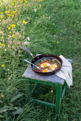 Fresh homemade fried with vegetables eggs in a frying pan on a chair in the yard - 611652332