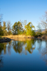 Fototapeta na wymiar Reflection of trees in calm water