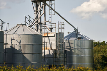 Obraz premium Agribusiness landscape. Steel Agricultural Silos - Building Exterior, Storage and drying of grains, wheat, corn, soy and sunflower
