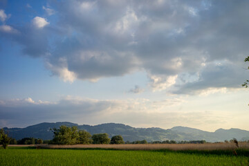 Field and blue sky