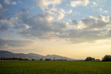 Obraz premium Field, water and blue sky