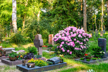 Friedhof mit geschmückten Grabstätten und Bäumen - obrazy, fototapety, plakaty