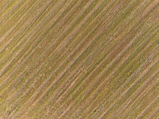 Beautiful harvested field of hay, with mowed diagonal lines. Aerial view of farmland with space for text. Background photo. - 611657936