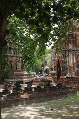 Statue of Buddha, in Ayutthaya, Thailand