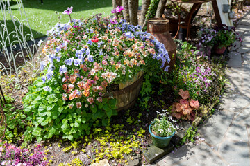 カラフルな花 ガーデニング