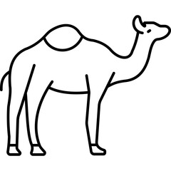 Camel 

